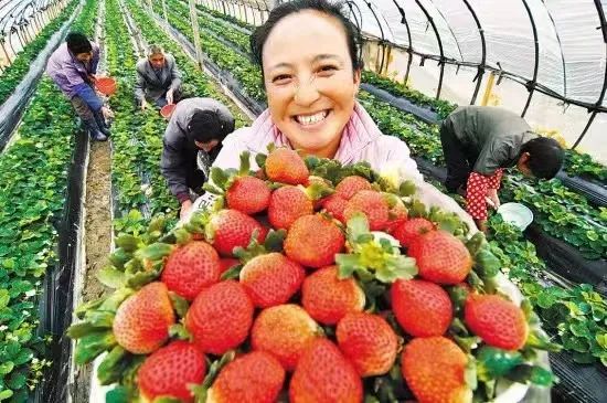 微信图片_20220426162434 微信图片_20220426162434.jpg