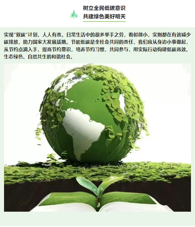 image image.png?v=1763569561592