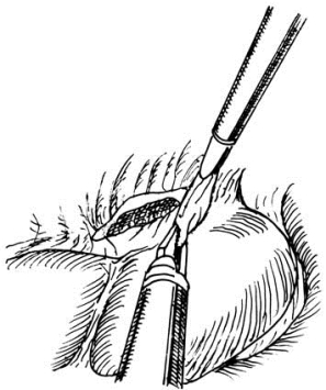 pagenumber_ebook=481,pagenumber_book=466