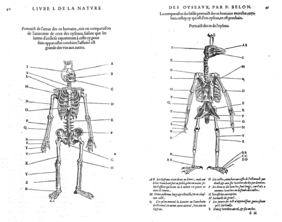 pagenumber_ebook=132,pagenumber_book=132