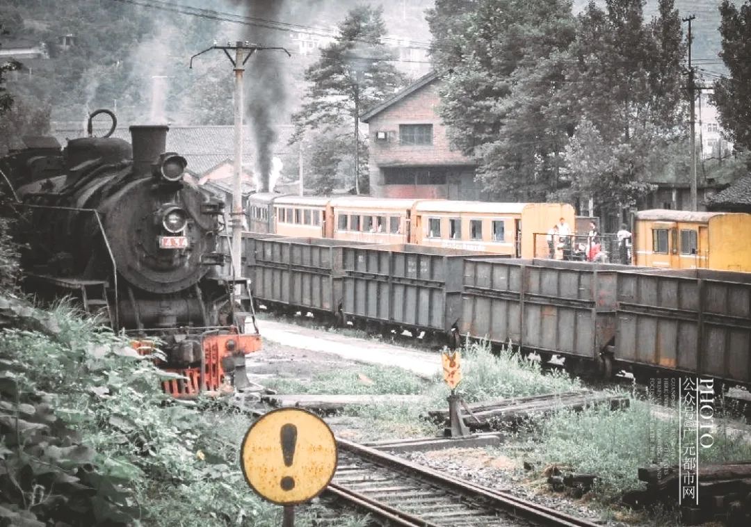 IMG_1436(20200417-111222) IMG_1436(20200417-111222).jpg?v=1765781105416