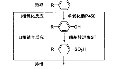 pagenumber_ebook=554,pagenumber_book=536