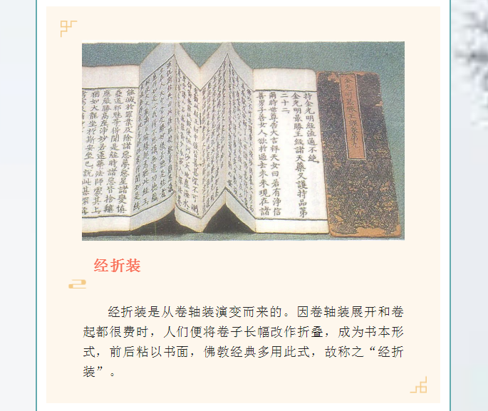 image.png?v=1754275719565