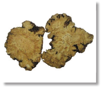 pagenumber_ebook=175,pagenumber_book=162