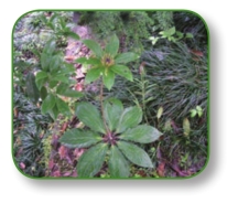 pagenumber_ebook=68,pagenumber_book=55