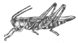 pagenumber_ebook=172,pagenumber_book=156