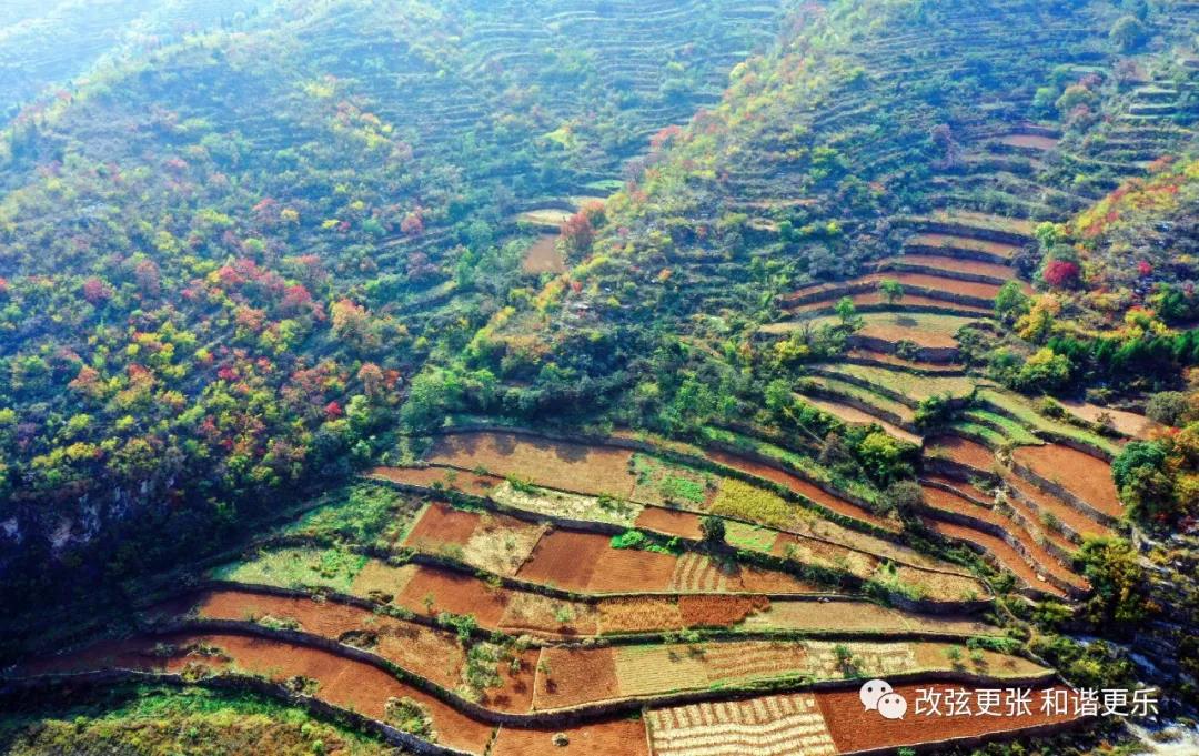 微信图片_20211008154514