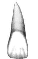 pagenumber_ebook=24,pagenumber_book=15