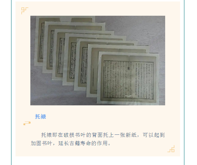 image.png?v=1754275719565