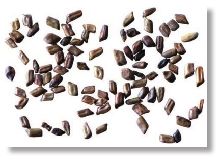 pagenumber_ebook=44,pagenumber_book=31