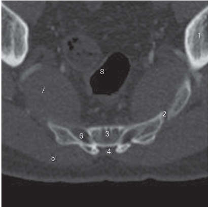 pagenumber_ebook=25,pagenumber_book=16