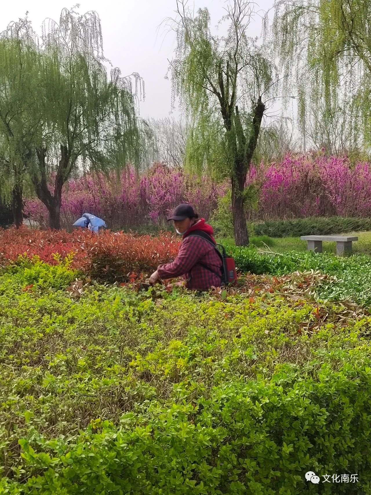 446915f8ae6d3cedc15cbc9d1aba762f 446915f8ae6d3cedc15cbc9d1aba762f.jpg