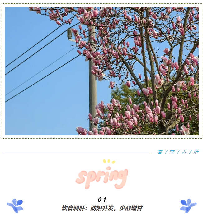 image.png?v=1774104976441