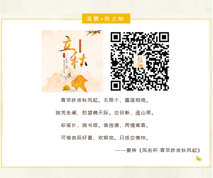 image.png?v=1757830891684