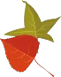 20171218202947_5cf7u4auh5 20171218202947_5cf7u4auh5.png?v=1787808365344