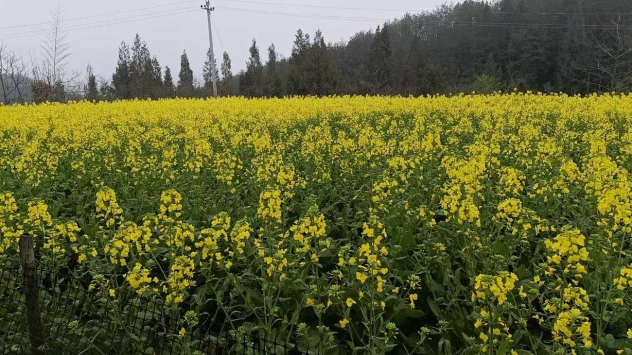 wps_doc_11 wps_doc_11.jpeg