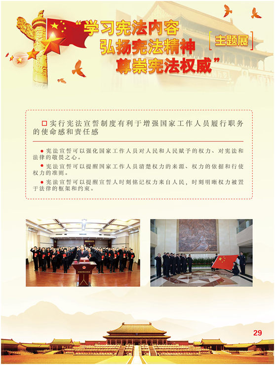 image image.png?v=1762213787587