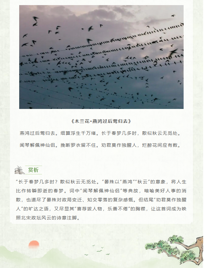 image.png?v=1770178027987