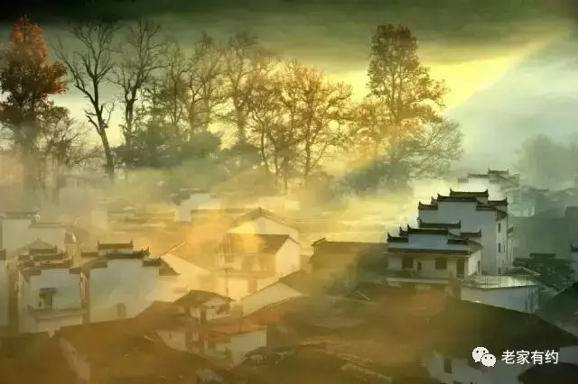 20170512170516_xk6qc8b2hs 20170512170516_xk6qc8b2hs.png?v=1773797917752