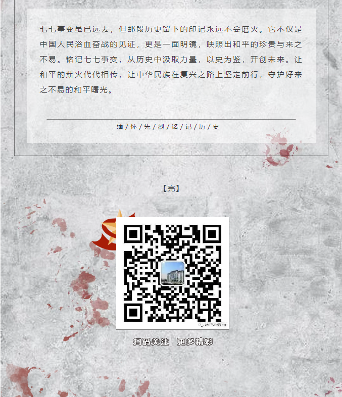image.png?v=1751537719664