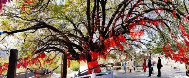 e76542de7b7d95297e6490d145ebe67e e76542de7b7d95297e6490d145ebe67epng