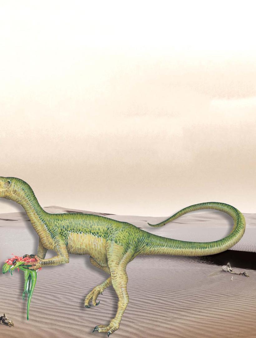 pagenumber_ebook=56,pagenumber_book=45