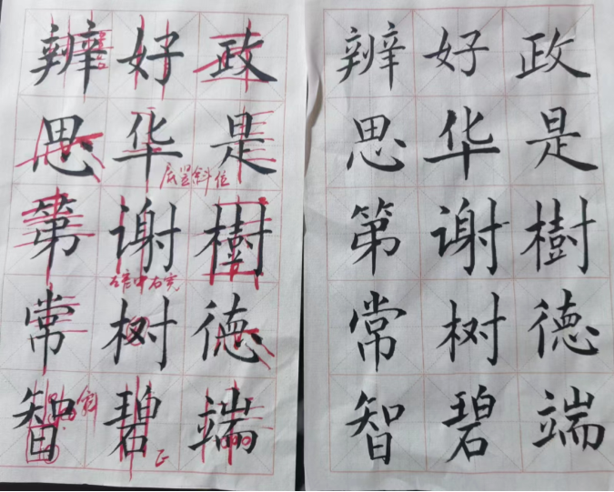 image image.png?v=1763574150131