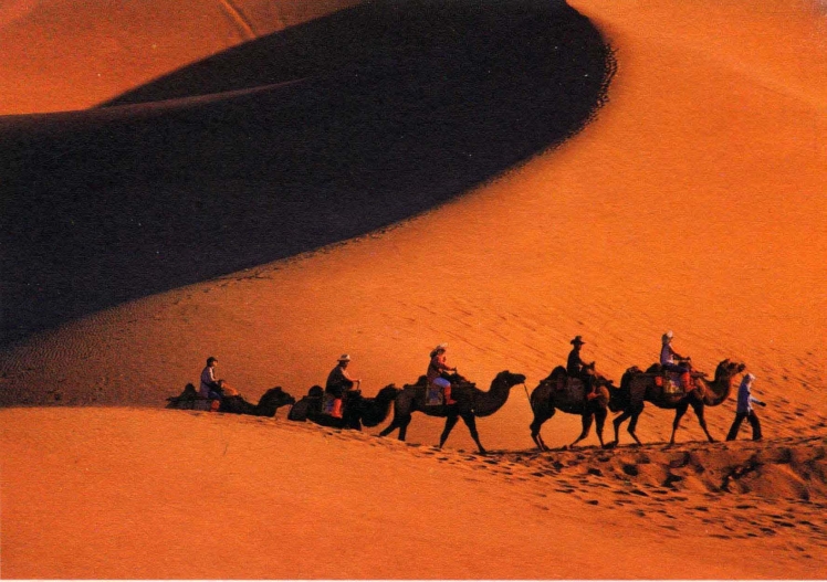 pagenumber_ebook=179,pagenumber_book=170