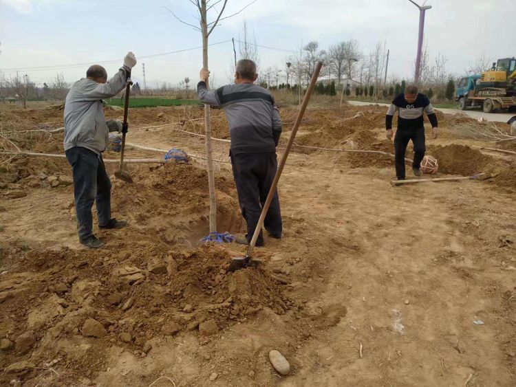 b66daa215e444eedb08addf1f3643c44