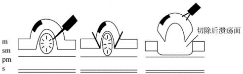 pagenumber_ebook=520,pagenumber_book=505