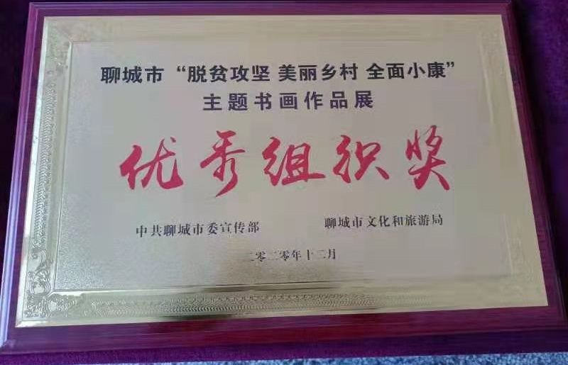 优秀组织奖.jpg