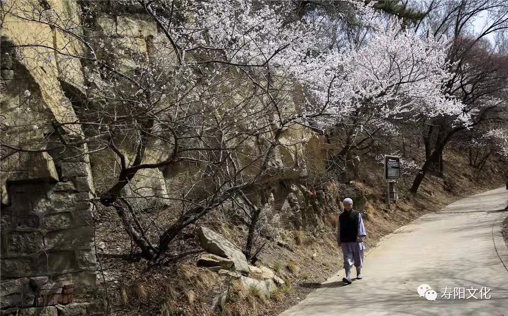 3b8fcda0d636b62ce039e6989132fdd