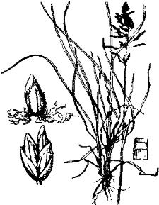 pagenumber_ebook=249,pagenumber_book=249