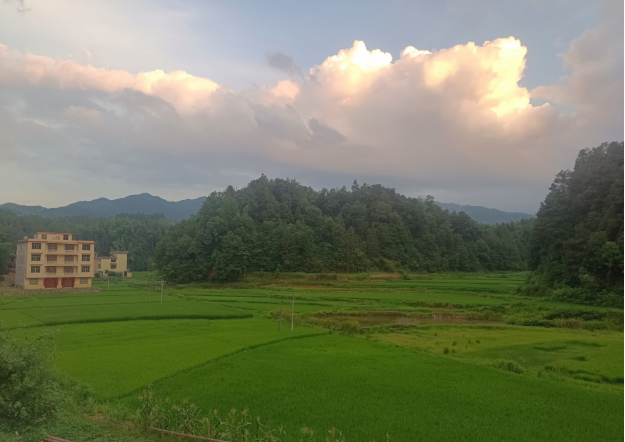 image003 image003.png