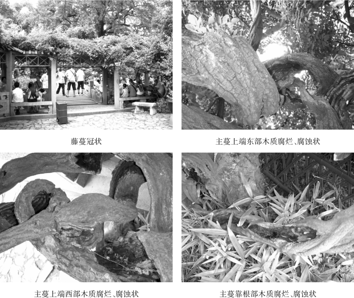 pagenumber_ebook=120,pagenumber_book=120