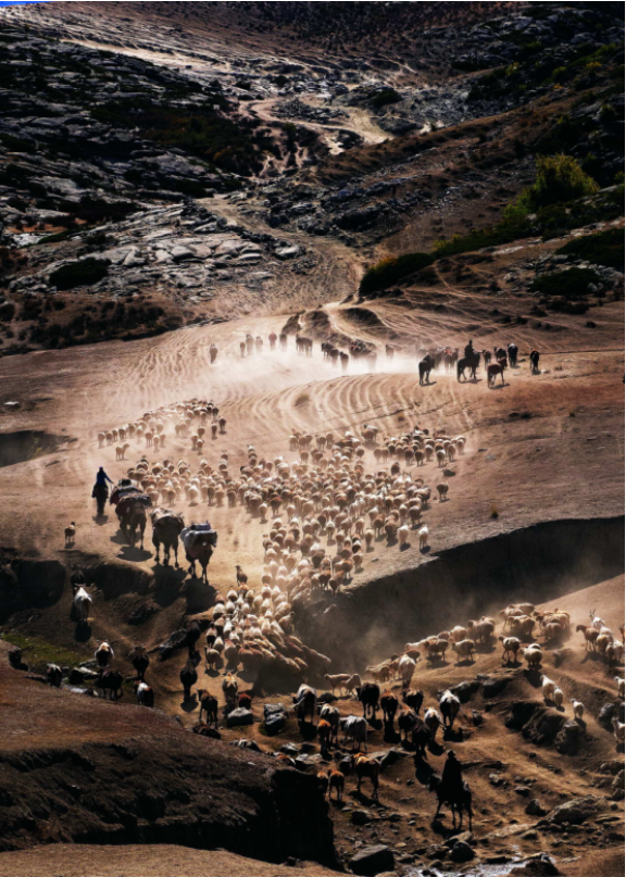 图片 图片.png?v=1762140392428