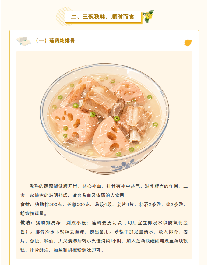 image.png?v=1787517389136
