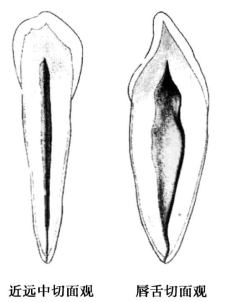 pagenumber_ebook=49,pagenumber_book=40