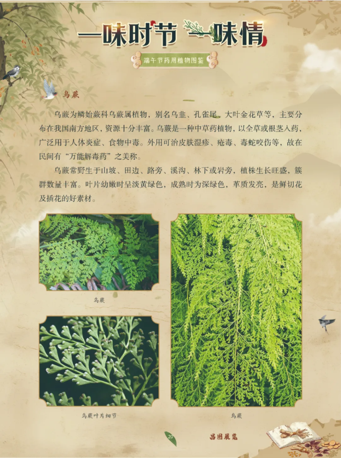 image.png?v=1782174181266