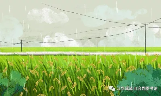 图片 图片.png?v=1761880172568