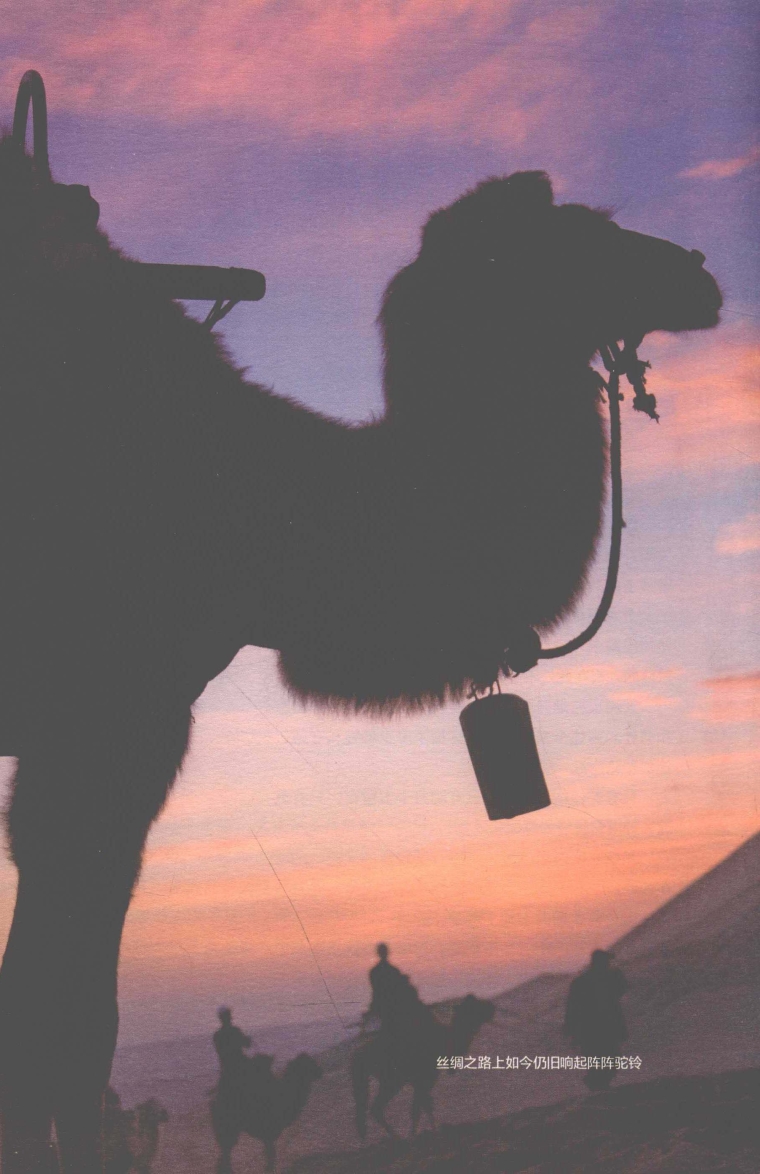 pagenumber_ebook=209,pagenumber_book=201