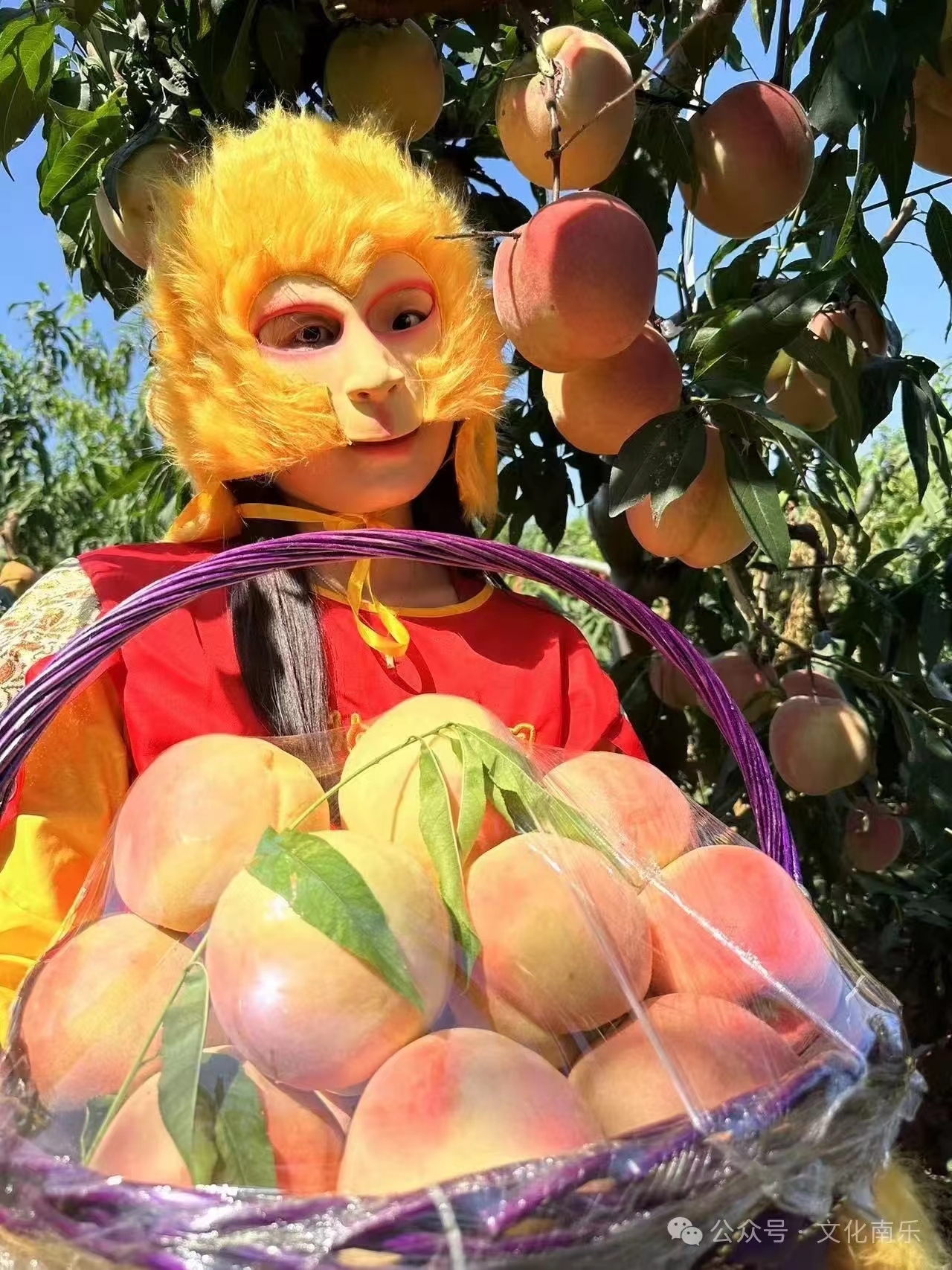 微信图片_20241010153638 微信图片_20241010153638.jpg