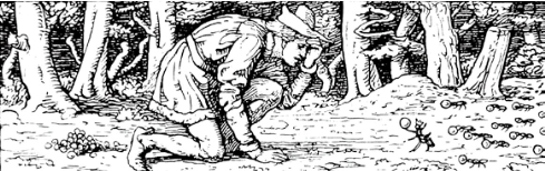 pagenumber_ebook=313,pagenumber_book=287