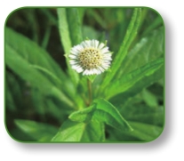 pagenumber_ebook=288,pagenumber_book=275