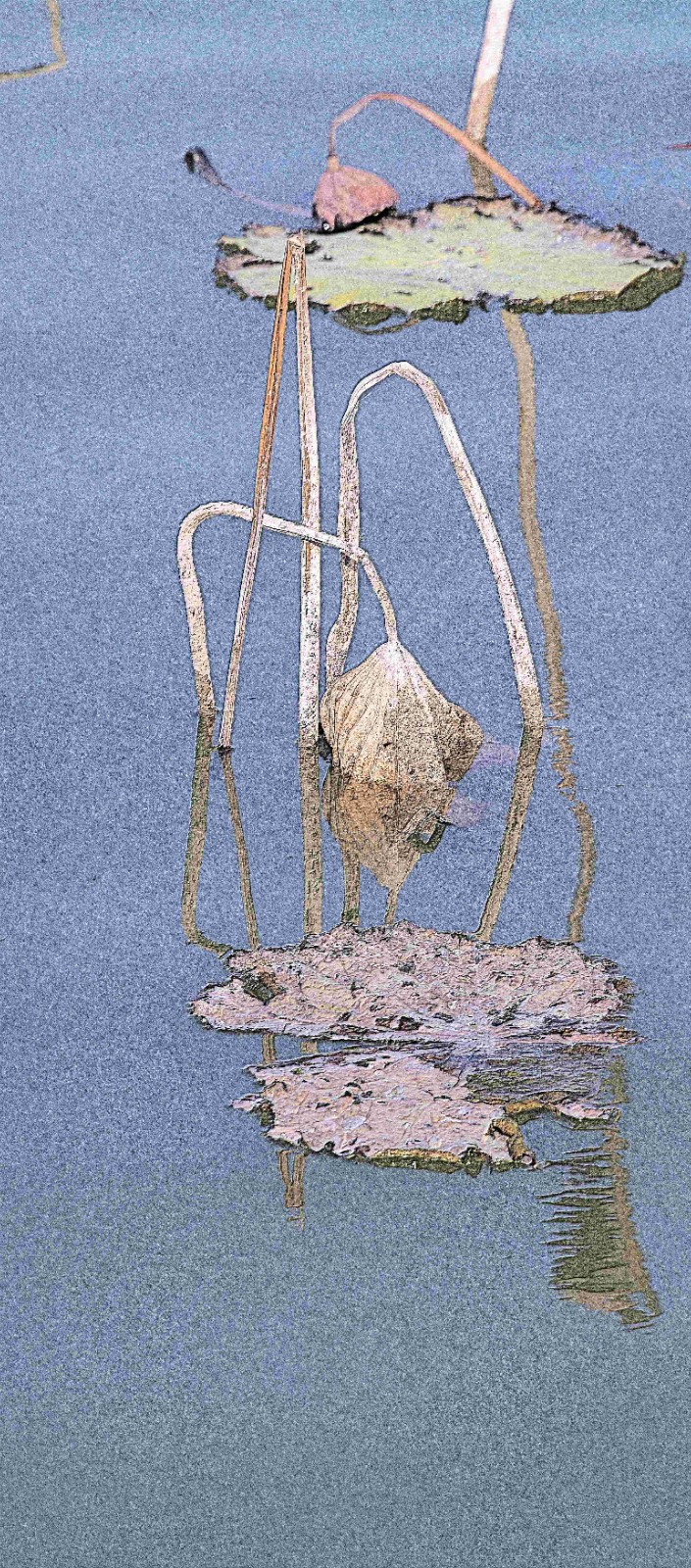 清气依旧雕铁骨 王祥领 (5)