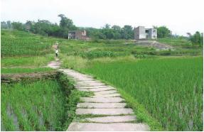 pagenumber_ebook=131,pagenumber_book=131