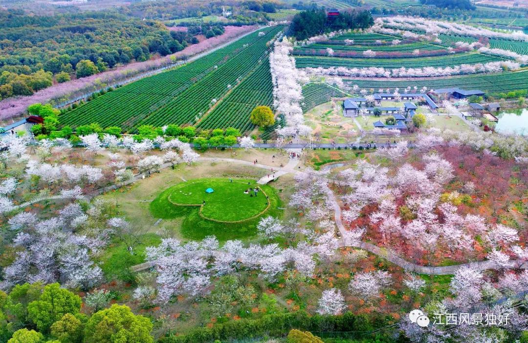 微信图片_20200917000455 微信图片_20200917000455.jpg