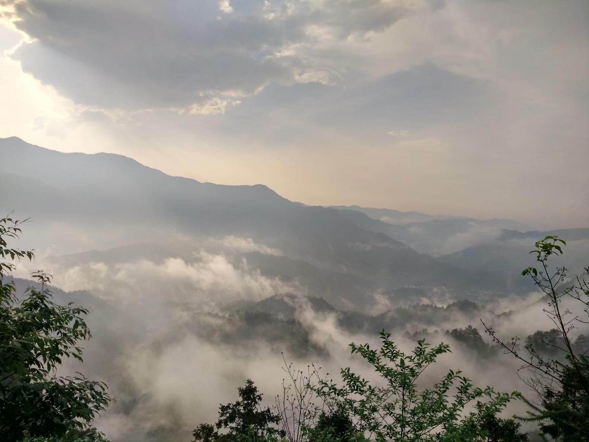 微信图片_20241217002500