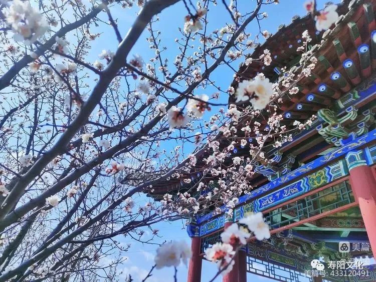 微信图片_20230414095929