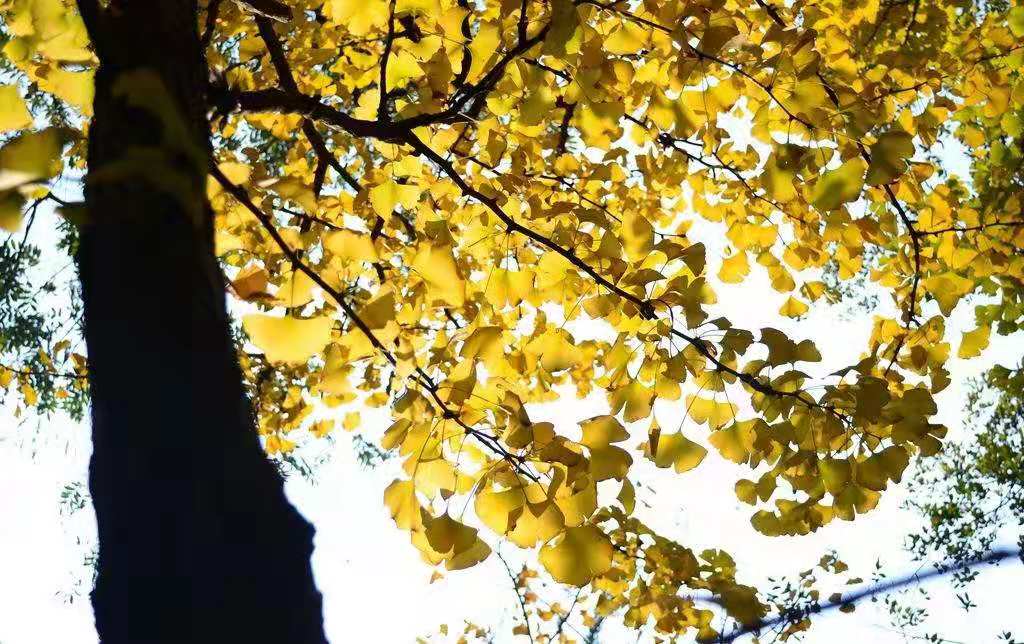 fe20aa97c685a257991de6d2d518c3b